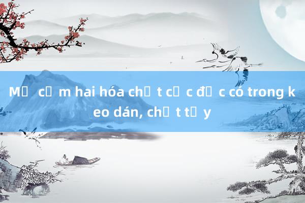 Mỹ cấm hai hóa chất cực độc có trong keo dán, chất tẩy