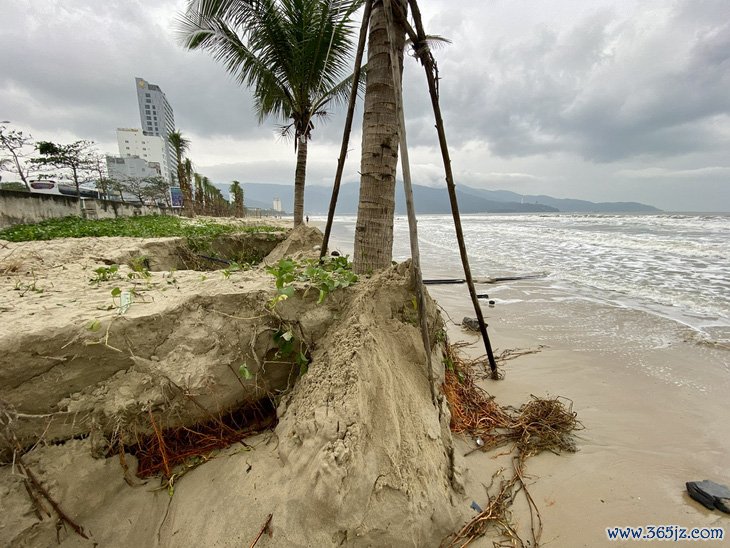 'Bãi tắm đẹp nhất hành tinh' ở Đà Nẵng lại bị xâm thực - Ảnh 10.